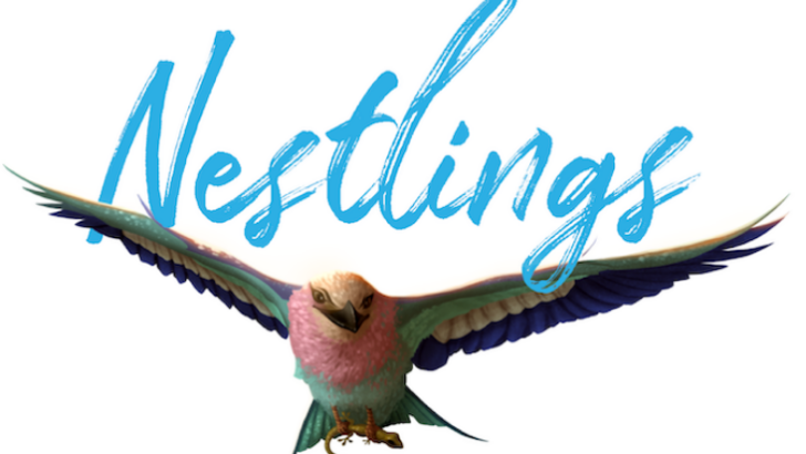 Enter a Competitive Avian Ecosystem with Tangerine Games’ ‘Nestlings’: Kickstarter Campaign Now Live